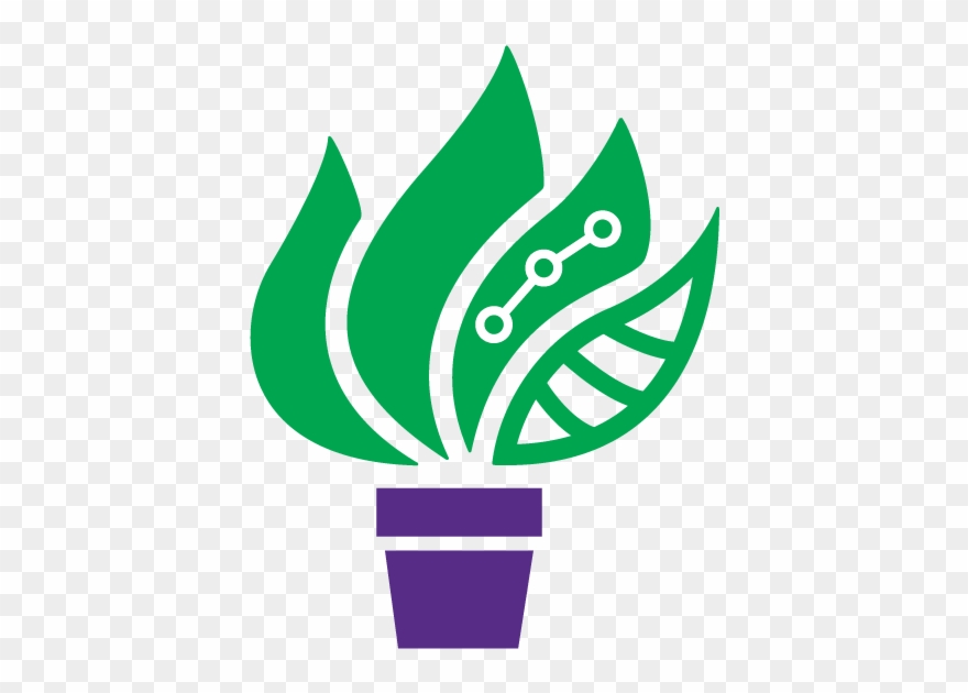 New York University Clipart