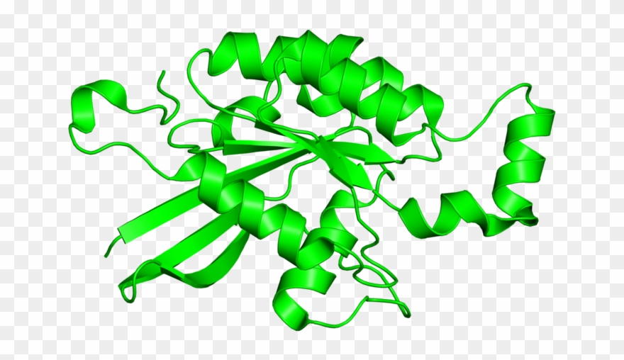 <div Class='caption-body'>1 Copy Of Cath Domain - Graphic Design Clipart