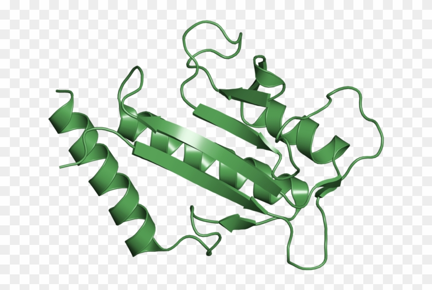 <div Class='caption-body'>1 Copy Of Cath Domain - Illustration Clipart