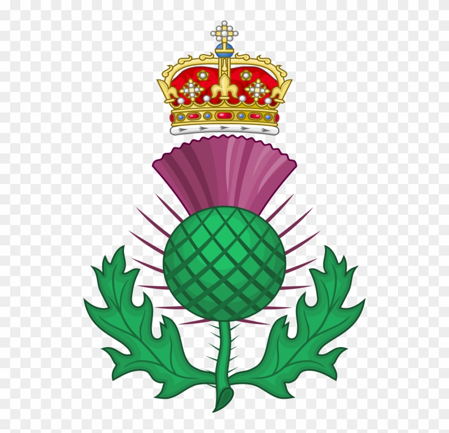 Thistle Royal Badge Of Scotland Clipart