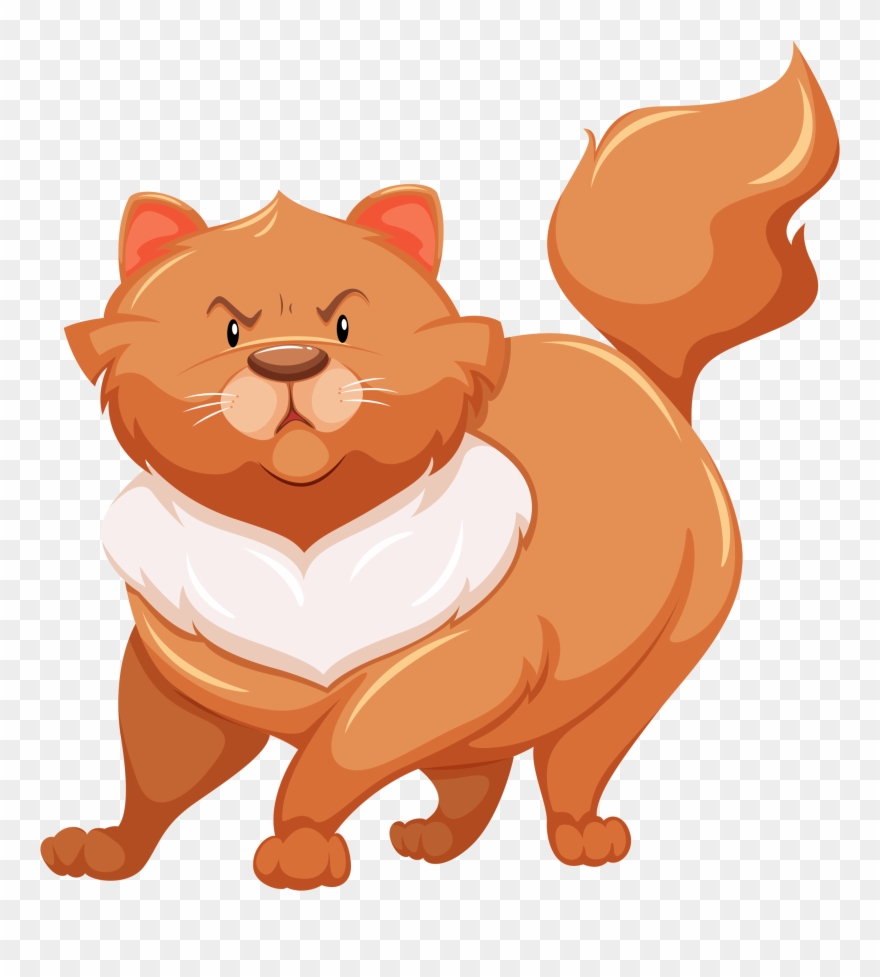 Cats See In The Dark - Parts Of Cat Clipart