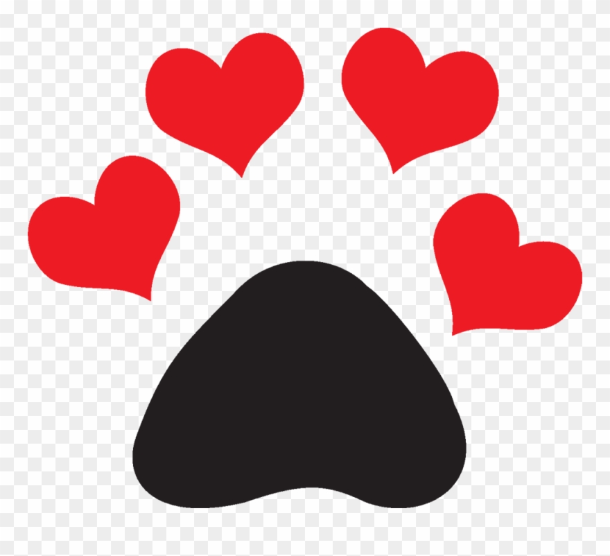 Pin Lhasa Apso Dachshund Mini Shih Tzu Yorkshire - Patinhas De Cachorro Gif Clipart