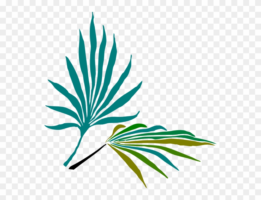 Palm Frond Clip Art - Png Download