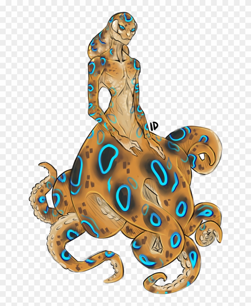 Drawn Octopus Blue Ringed Octopus - Blue Ringed Octopus Drawings Clipart