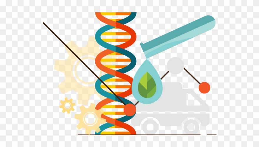 Deep South Center For Occupational Health Safety - Graphic Design Clipart