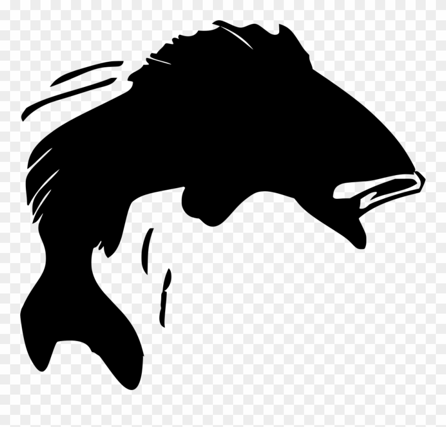Info - Jumping Bass Fish Silhouette Clipart