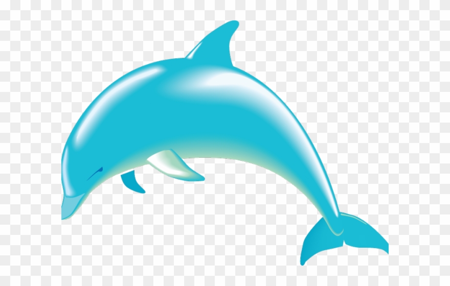 Spinner Dolphin Clipart Dolphin Fish - Dolphin Clipart Transparent Background - Png Download