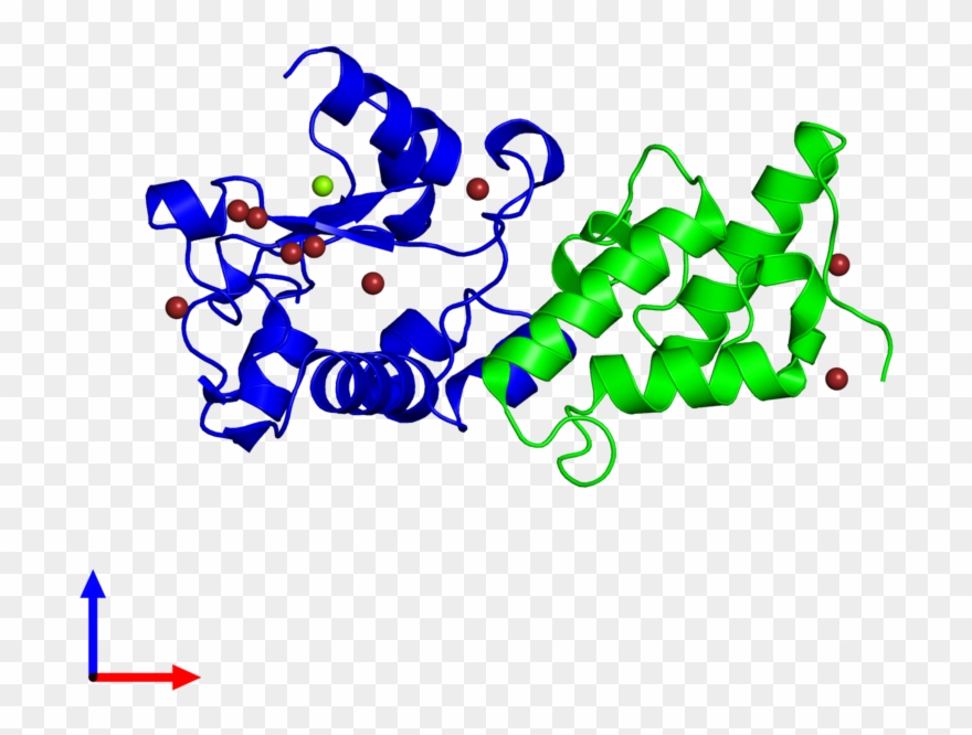 Dimeric Assembly 2 Of Pdb Entry 4qko Coloured By Chemically - Graphic Design Clipart