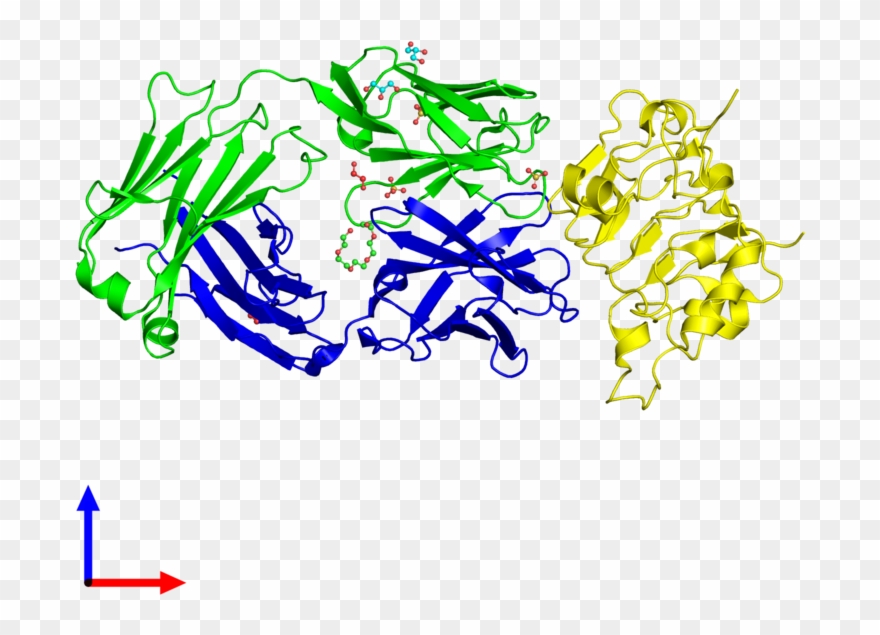 Trimeric Assembly 1 Of Pdb Entry 5sx5 Coloured By Chemically - Graphic Design Clipart