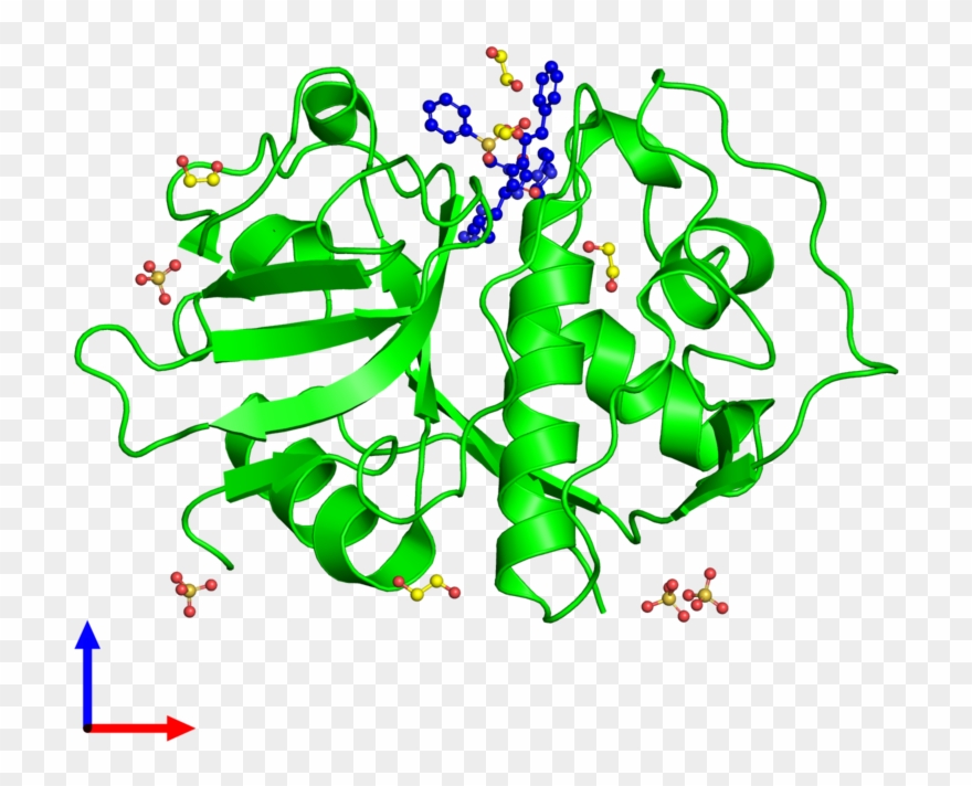 Monomeric Assembly 1 Of Pdb Entry 3lxs Coloured By - Graphic Design Clipart