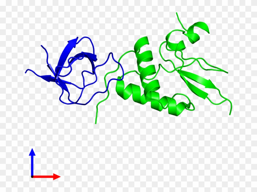 Dimeric Assembly 1 Of Pdb Entry 3reb Coloured By Chemically - Graphic Design Clipart