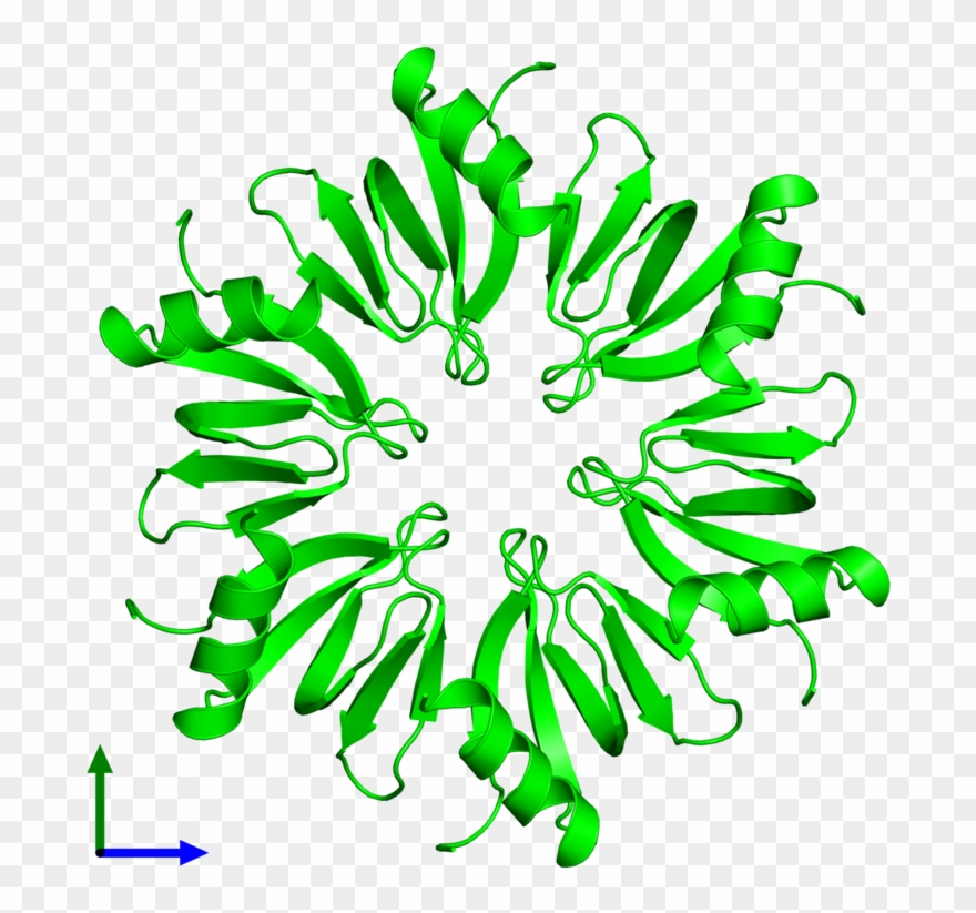 Hexameric Assembly 2 Of Pdb Entry 2yht Coloured By - Illustration Clipart