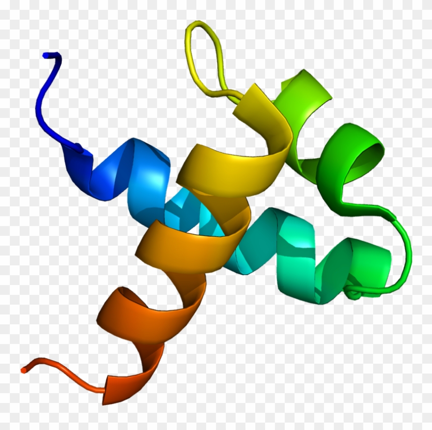 Myb Transcription Factor Structure Clipart