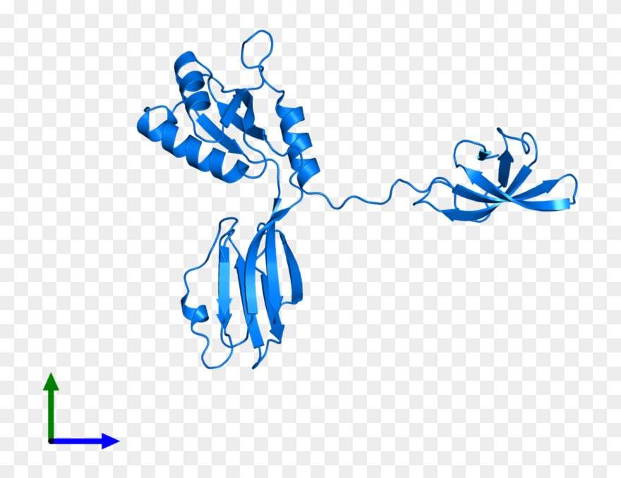<div Class='caption-body'>pdb Entry 1npr Contains 1 - Illustration Clipart