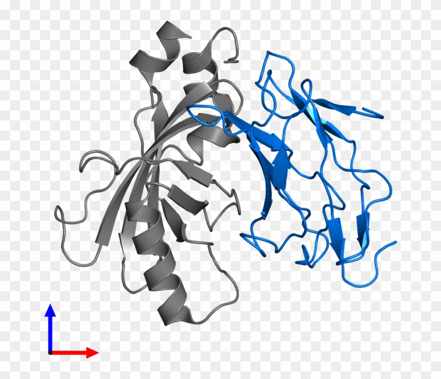 <div Class='caption-body'>pdb Entry 1e50 Contains 1 - Illustration Clipart