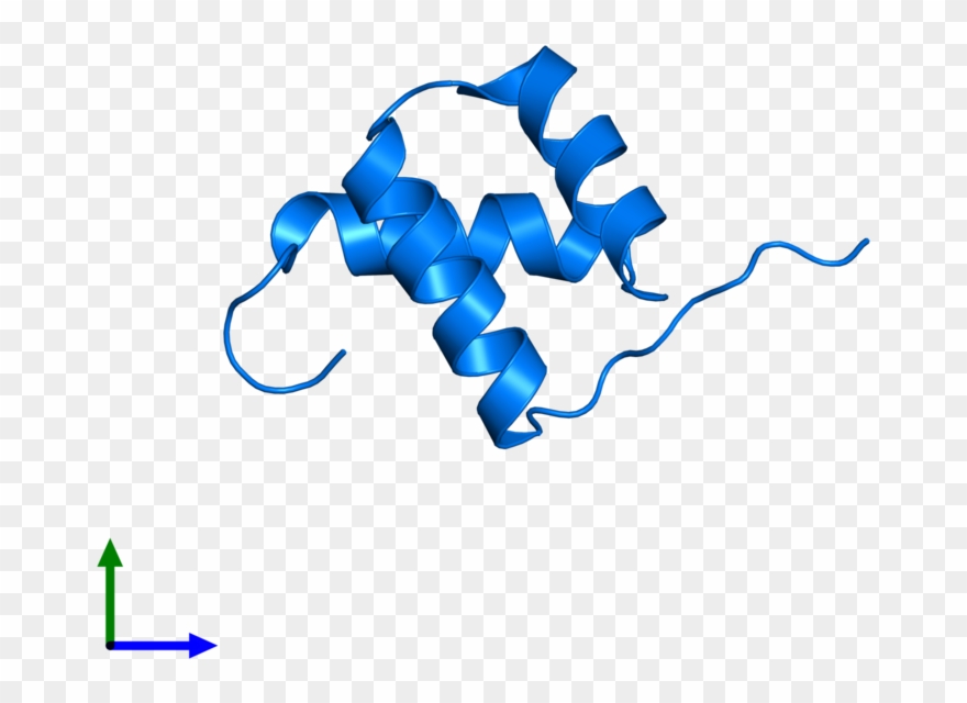 <div Class='caption-body'>pdb Entry 1pog Contains 1 - Graphic Design Clipart