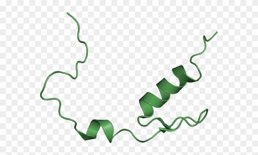 <div Class='caption-body'>1 Copy Of Cath Domain Clipart