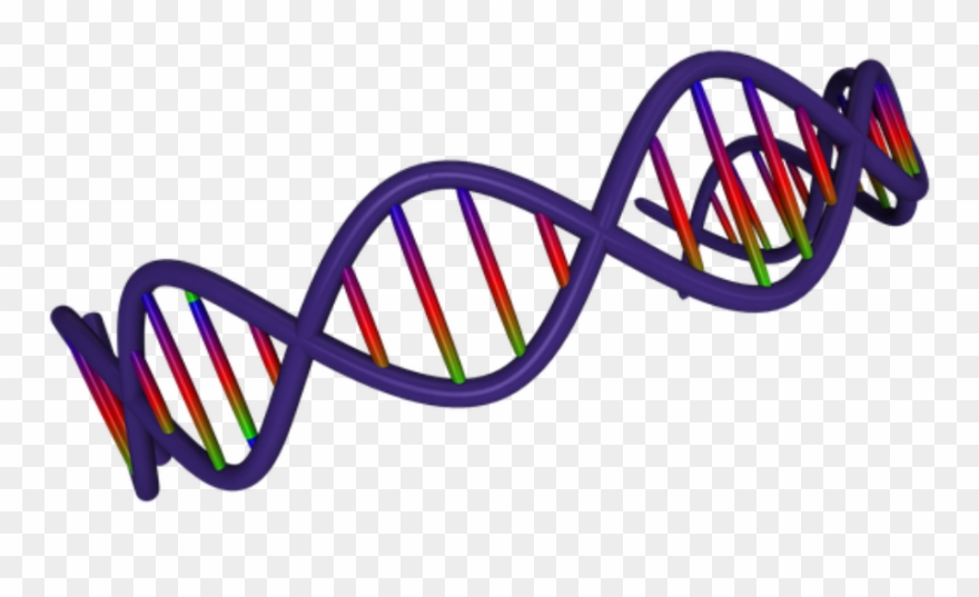 Alter Your Dna For Good - Adn Png Clipart