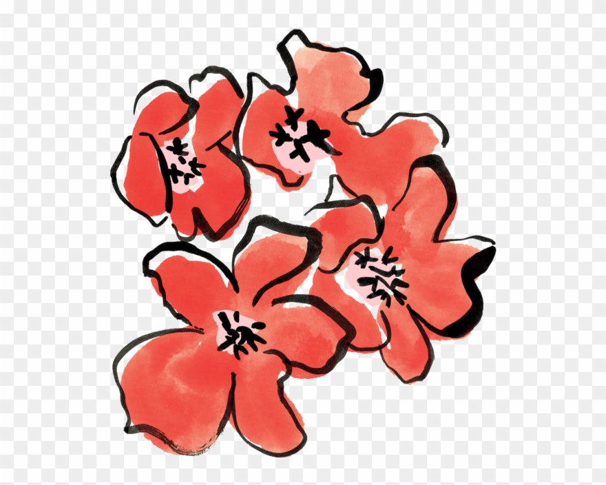 Sustainable Capsule Clipart