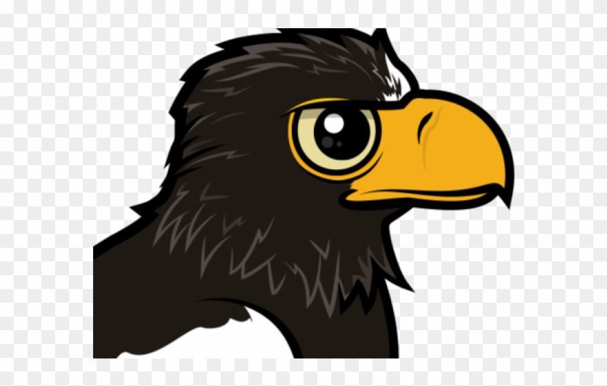 Stellers Sea Eagle Clipart Png - Steller's Sea Eagle Baby Transparent Png