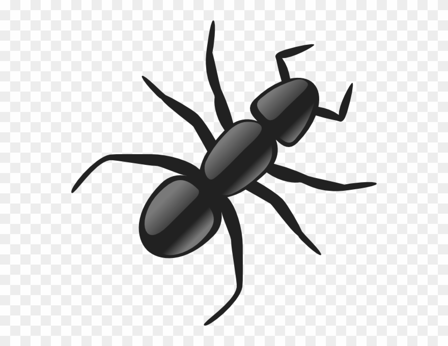 19 Insects Image Free Huge Freebie Download For Powerpoint - Ant Clip Art - Png Download