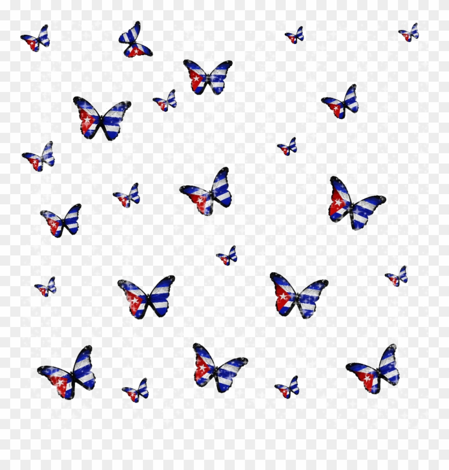 Cuba Cubana Habanera Butterflies Mariposas - Papilio Machaon Clipart