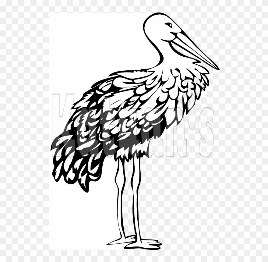Stork - Crane Clipart