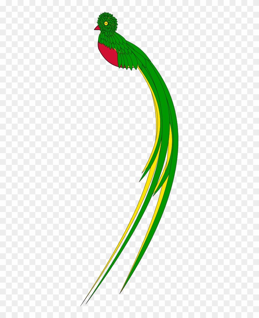 Clip Art Details Quetzal Bird Clip Art Png Download (3249002) PinClipart
