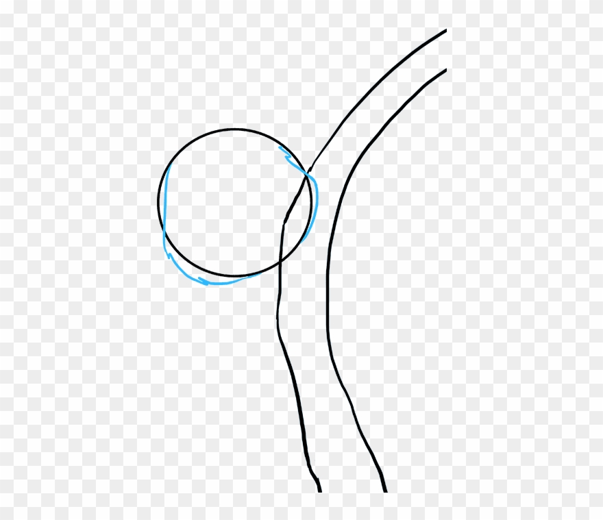 How To Draw Koala - Drawing Clipart