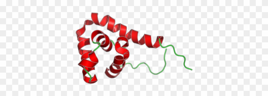 Ribbon Image For 2yuk - Illustration Clipart