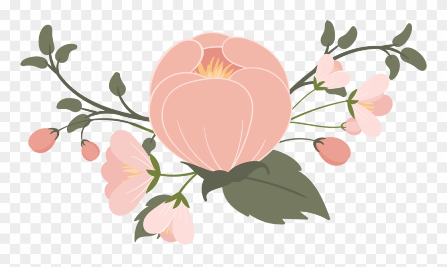 Are You A Southern Belle A Must Read For All Southern - Japanese Camellia Clipart