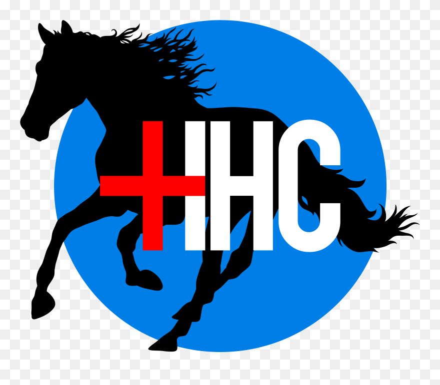 Stallion Clipart Horse Camp - Horses Cantering Clipart - Png Download