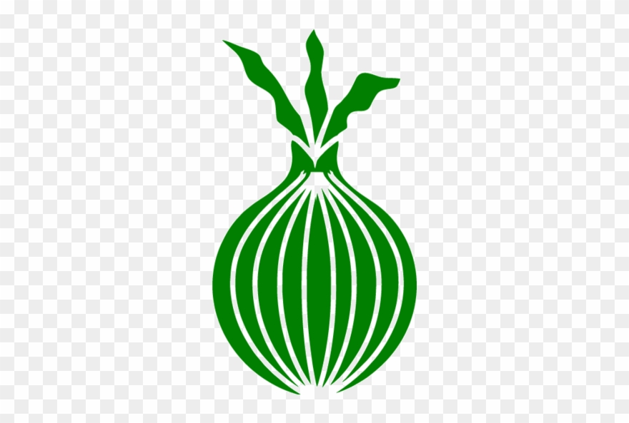 Onion Clipart