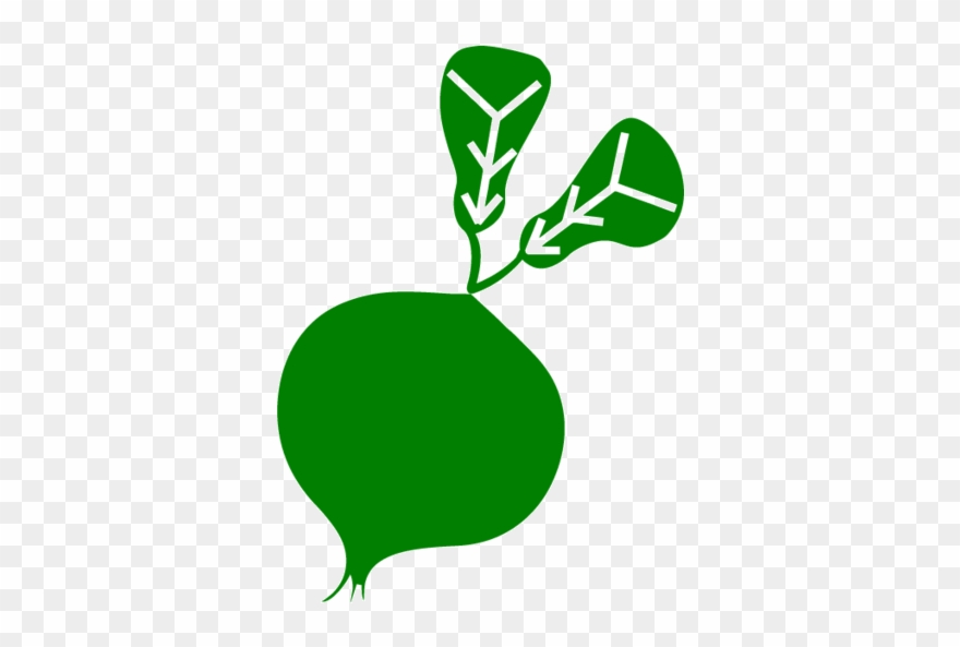 Onion - Illustration Clipart