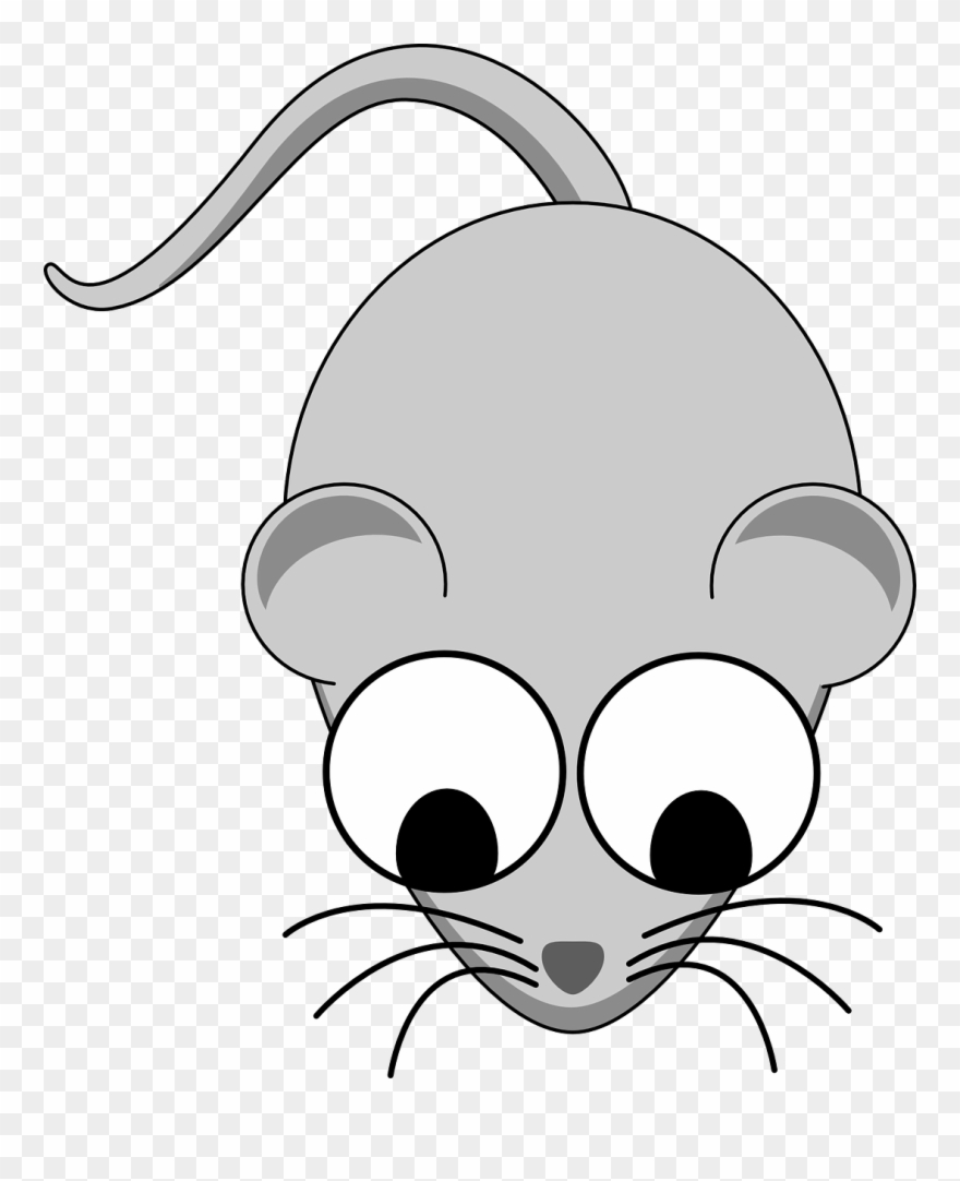 Mouse Rodent Animal - Cartoon Mouse No Background Clipart