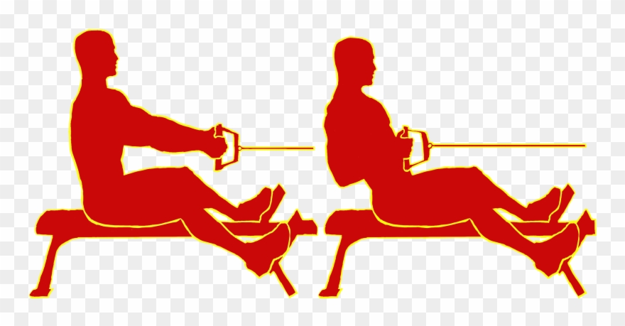 Seated Low Pulley Rows - Sitting Clipart