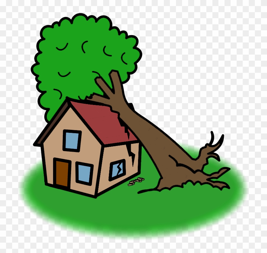 Een “wettelijke Zorgplicht” Voor Bomen Bestaat Niet Clipart