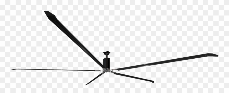 Experience - Monochrome Clipart