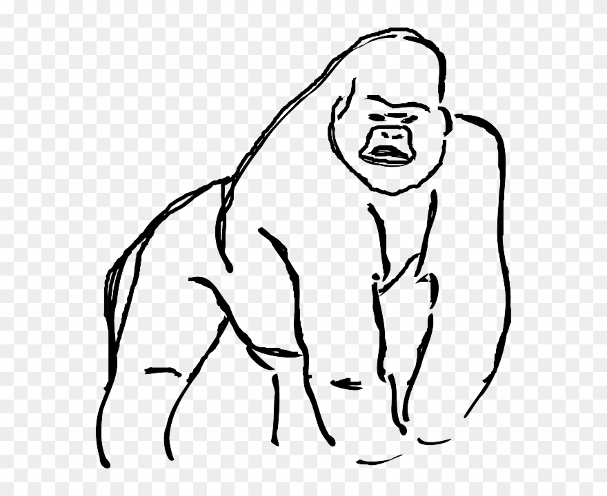 Gorilla Clipart Line - Gorilla Line Art - Png Download