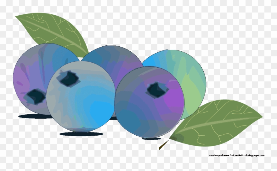 Blueberry Graphic Illustration Blueberry Illustrations - Illustration Clipart