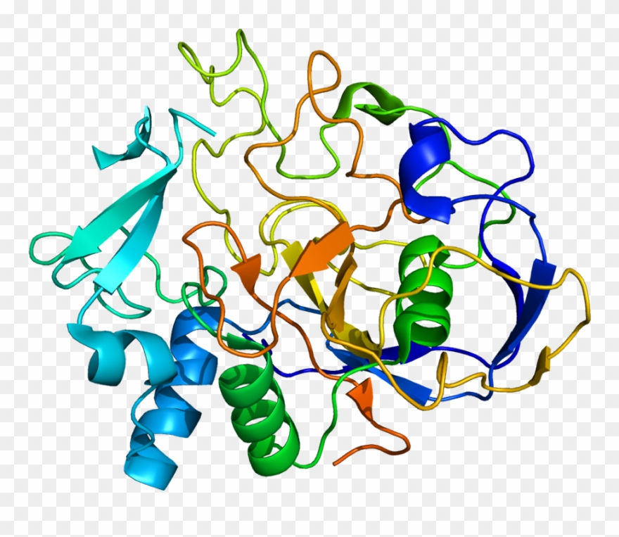 Sumf1 Protein Structure Clipart