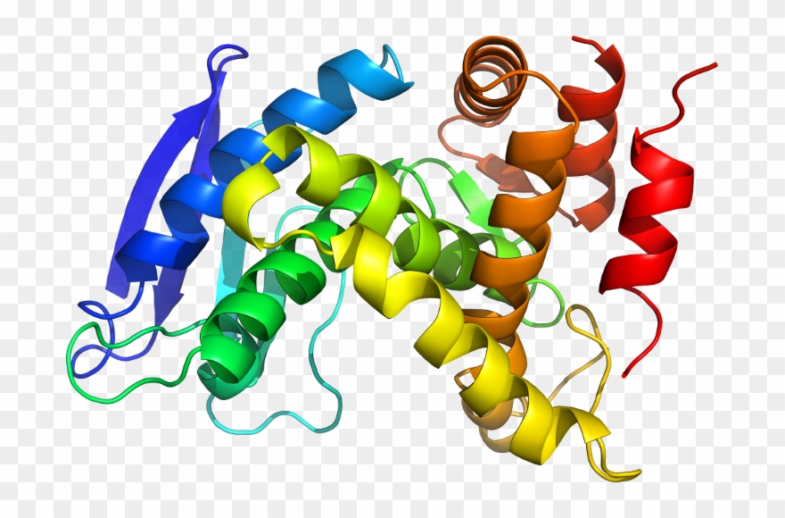 View In 3d - Graphic Design Clipart