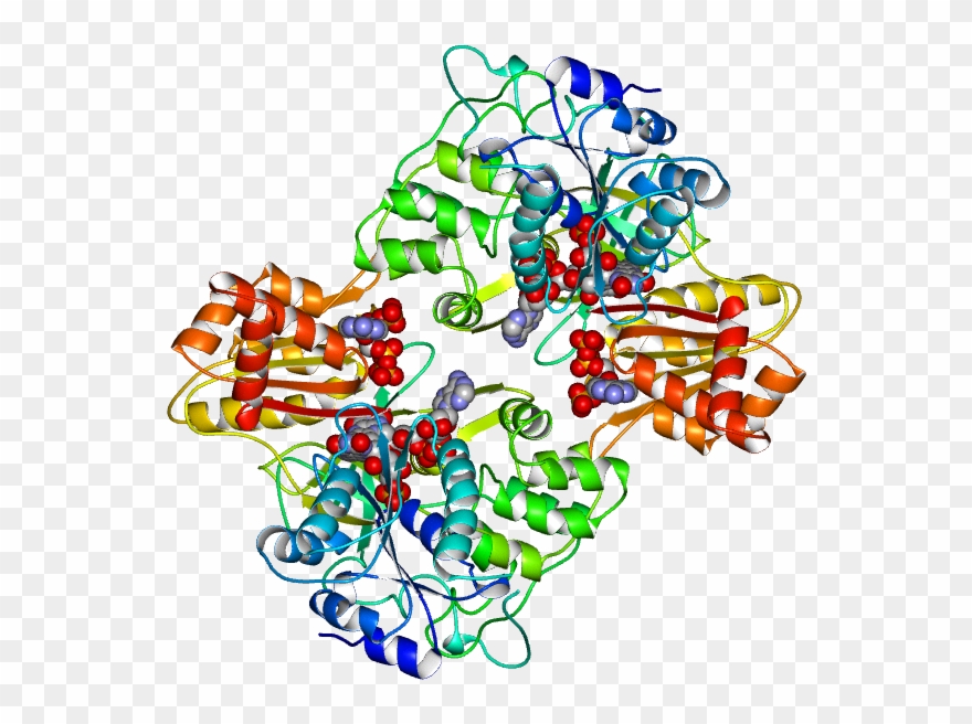 Molmil Generated Image Of 1amo - Illustration Clipart