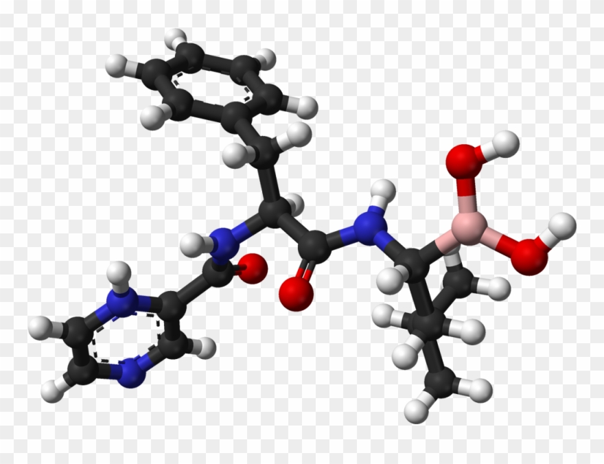 Bortezomib - Molecule Clipart