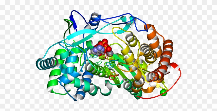 Database Information - Illustration Clipart