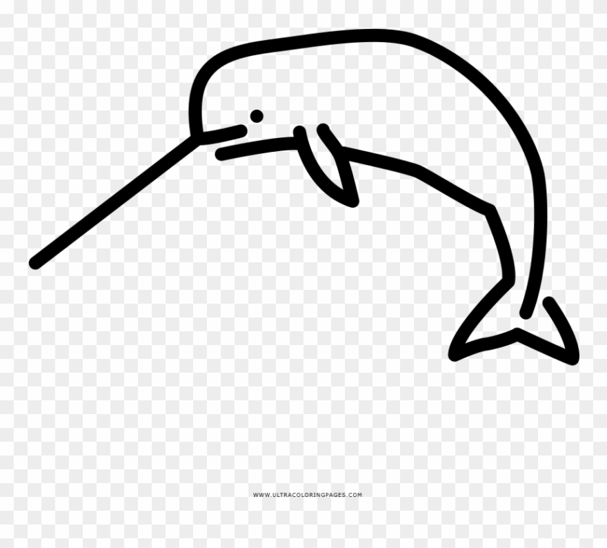 Narwhal Coloring Page - Line Art Clipart