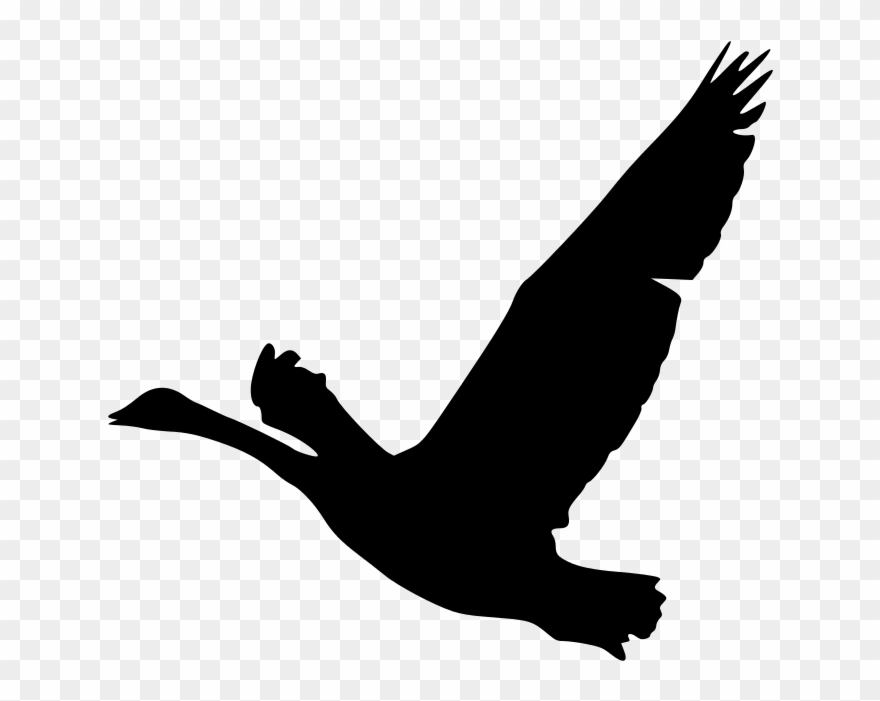 2008 07 25 Geese Over - Geese Silhouette Clip Art - Png Download
