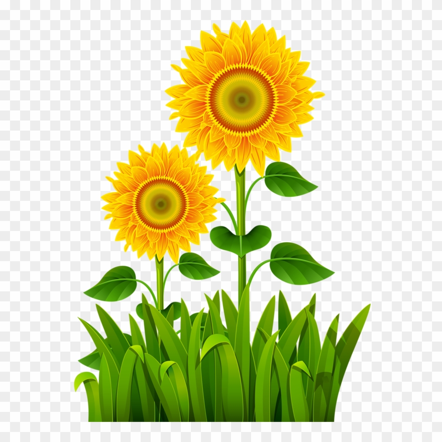 Flower Pictures, Flower Art, Clip Art, Farms, Paintings, - Flowers Border Grass - Png Download