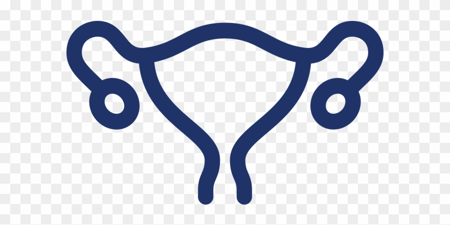 Gynecology Clipart