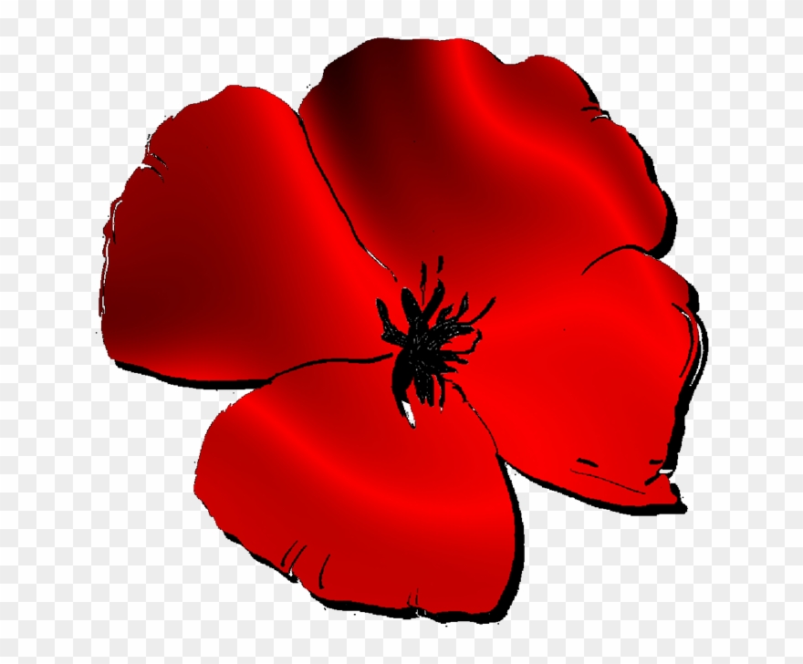Corn Poppy Clipart